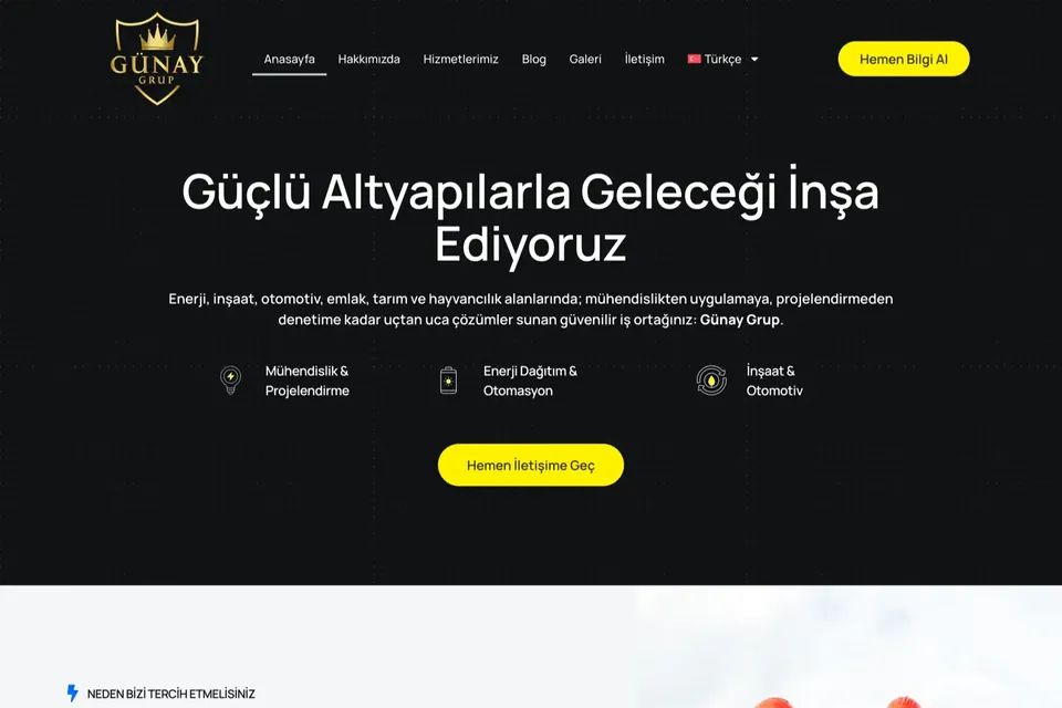 Günay Grup web sitesi